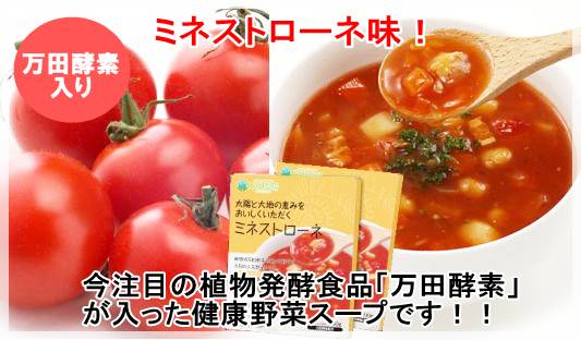 万田酵素 健康野菜スープ